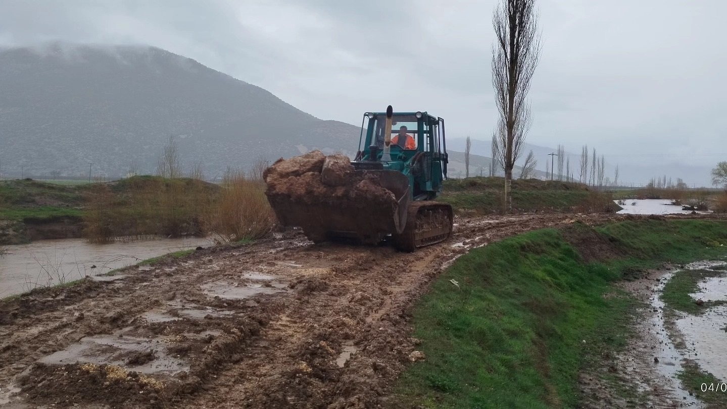 Antalya’daki Yeşil Karıncalar, Bitmeyen Kış Mesaisinde (5)