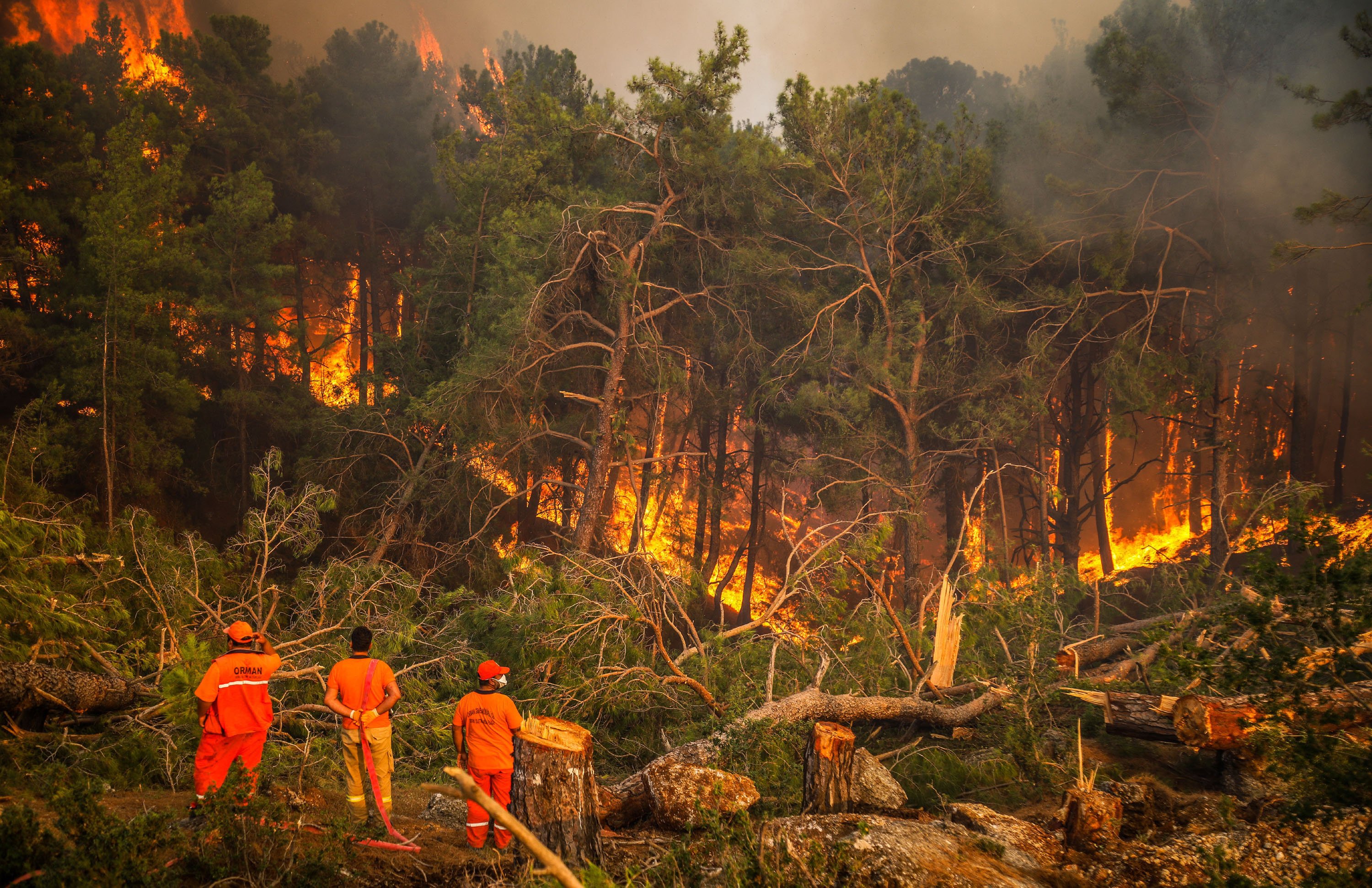 Antalya’nın 2025 Raporu Yayınlandı! Antalya’da Bin 527 Hektar Yangın Gerçeğini Yaşadı (2)