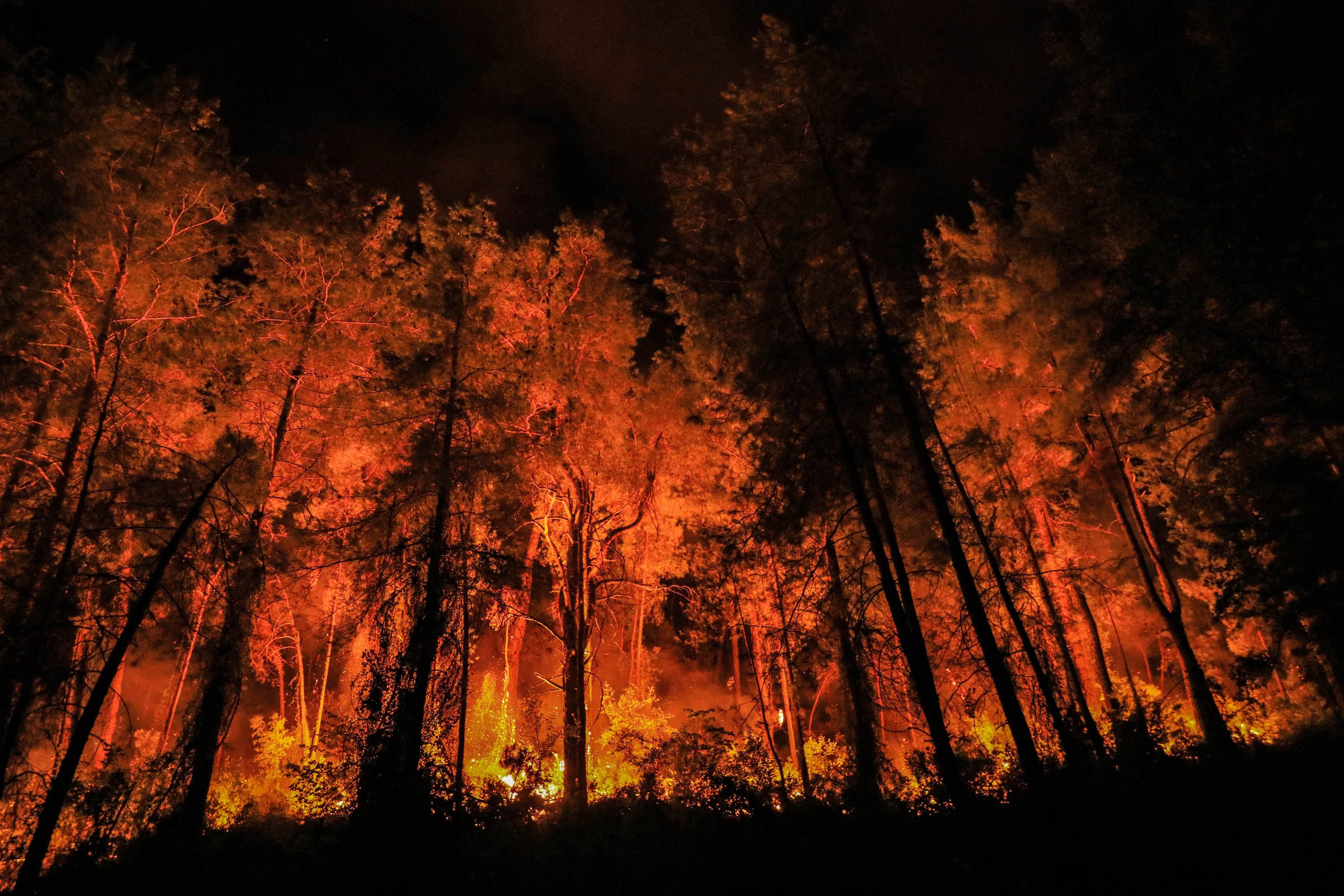 Antalya’nın 2025 Raporu Yayınlandı! Antalya’da Bin 527 Hektar Yangın Gerçeğini Yaşadı (7)