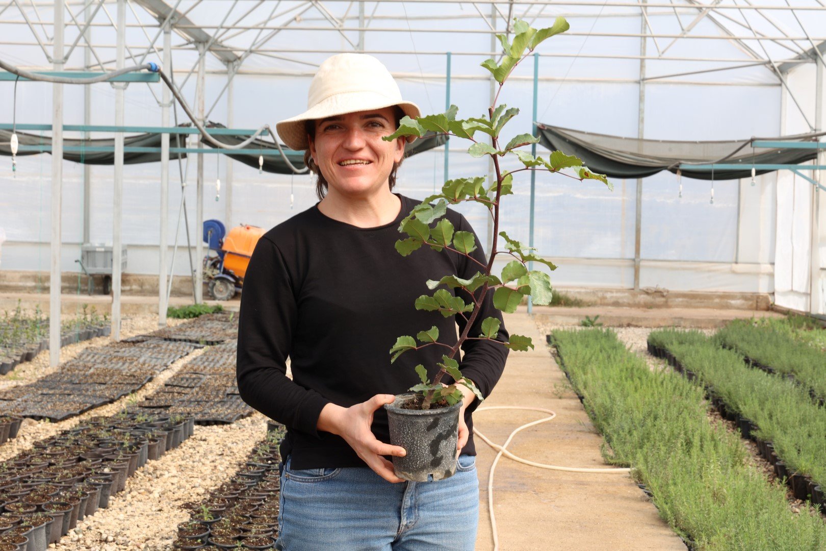 Antalya’nın Coğrafi Işaret Alan Ürünün Dağıtımı Yapılacak (4) (Large)