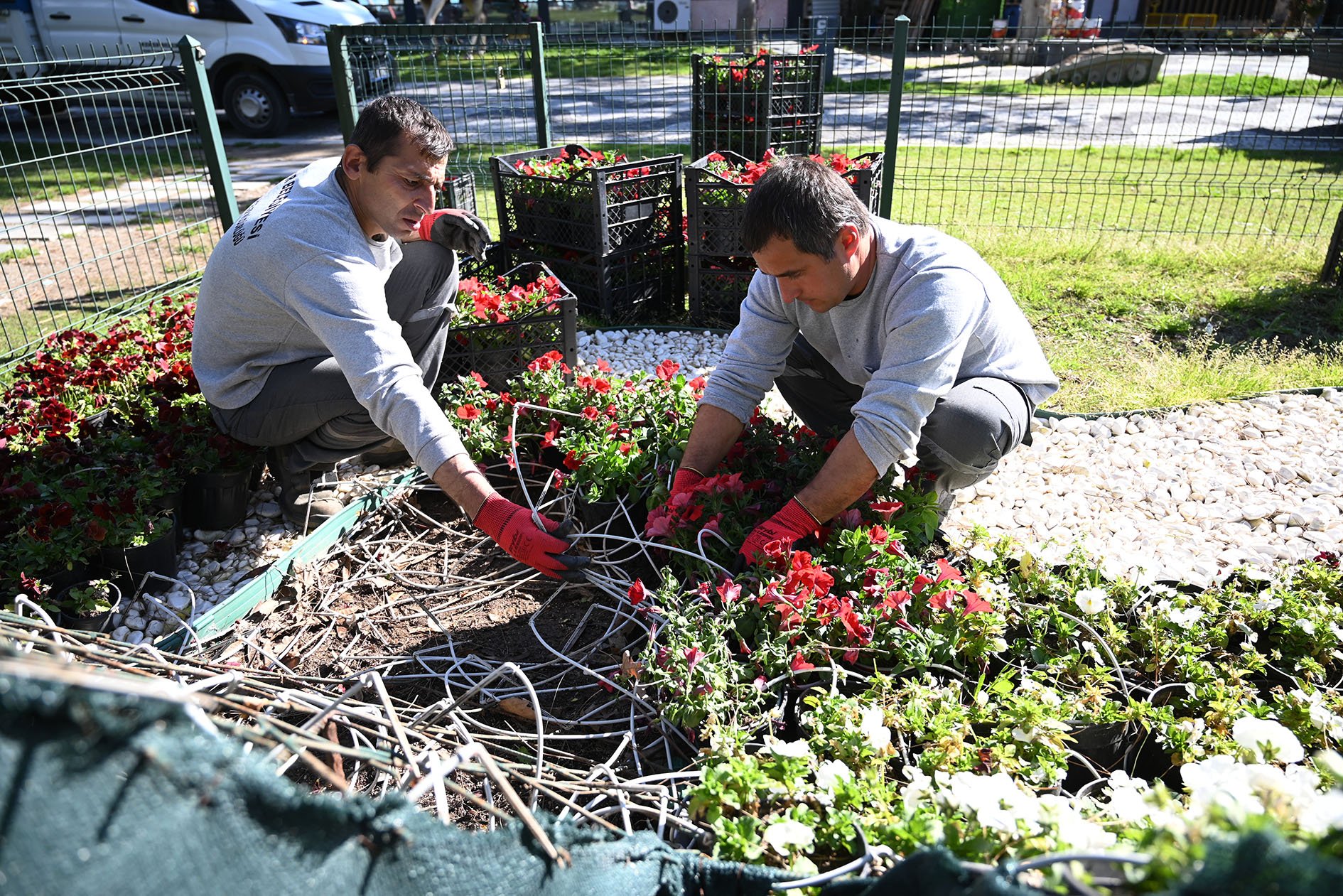 Antalya’nın Turizm Merkezi Çiçeklendi (3)