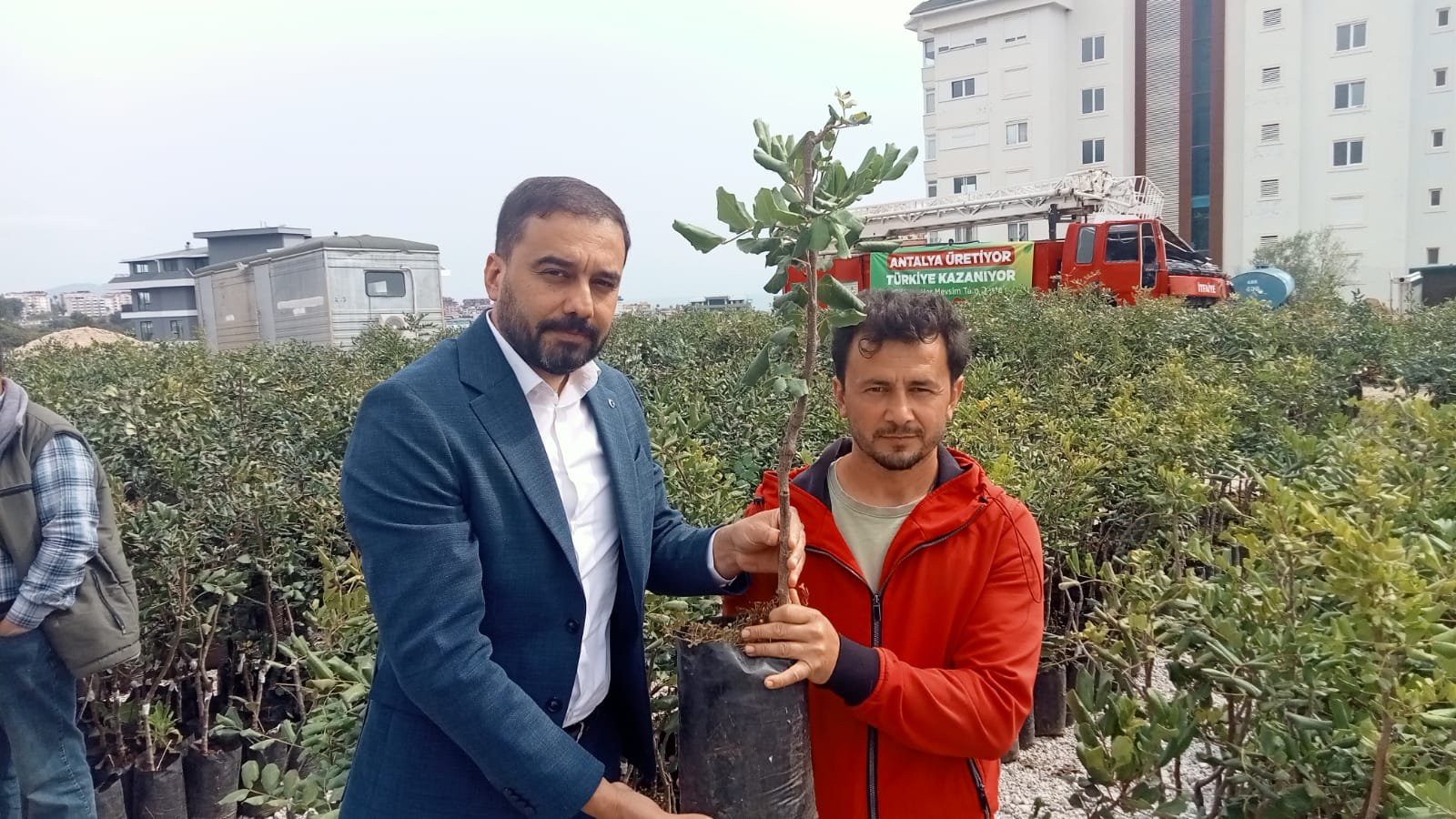 Büyükşehir Belediyesi Üreticinin Yüzünü Keçiboynuzu Ile Güldürdü (5)