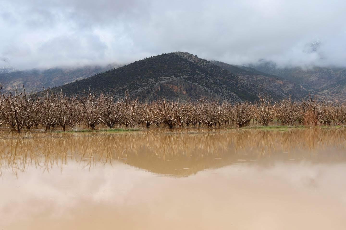 Chp’li Coşar’dan Elmalı Ovası Için Acil Çağrı (7)