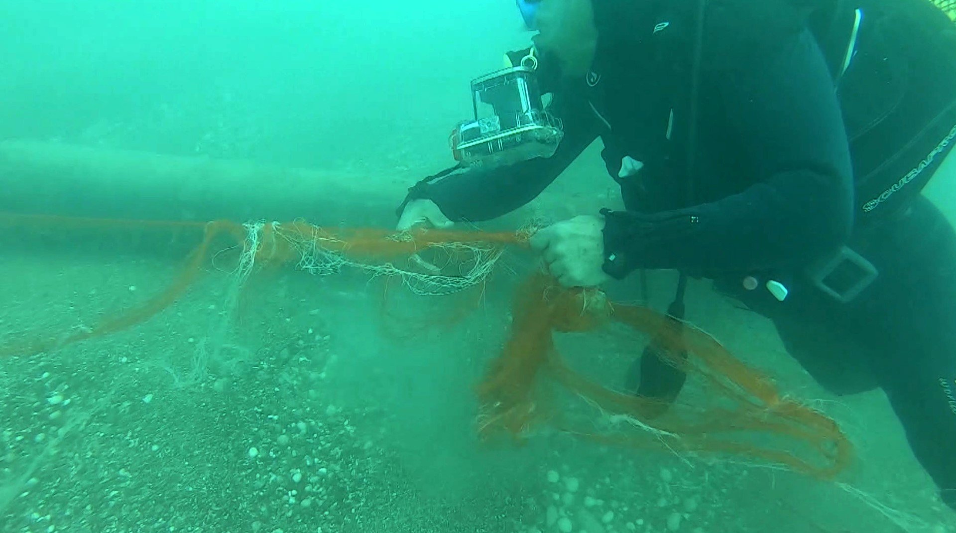 Denizler Temizlendi 1,5 Milyon Deniz Canlısı Kurtarıldı (3)