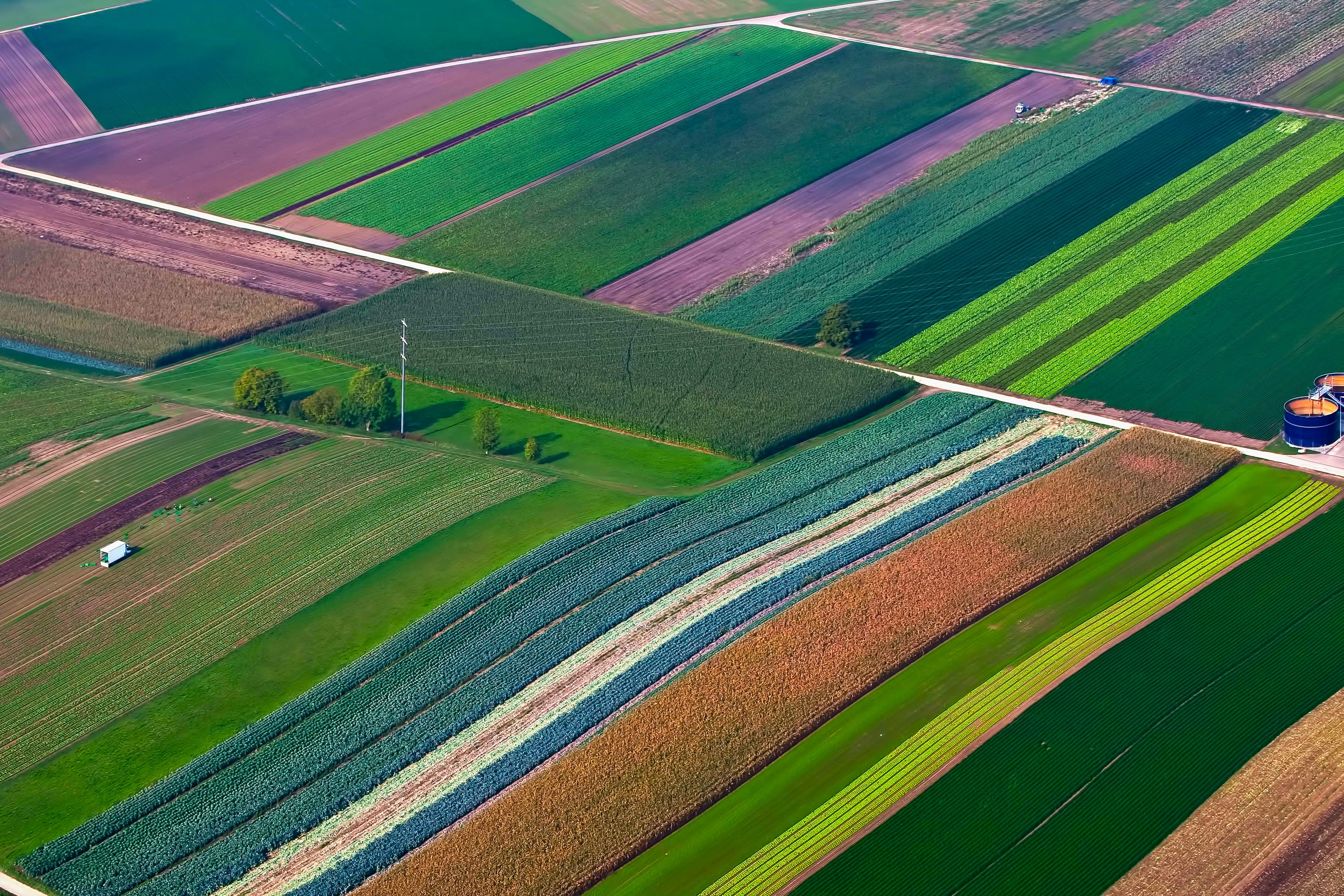 Tarım arazilerinin korunmasında yeni yönetmelik devreye girdi