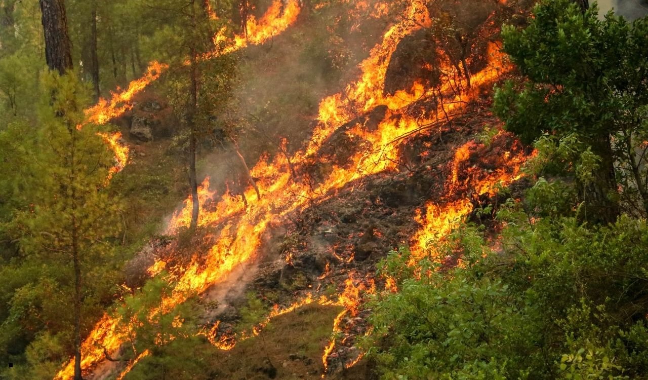 Antalya’nın 2025 raporu yayınlandı! Antalya’da bin 527 hektar yangın gerçeğini yaşadı
