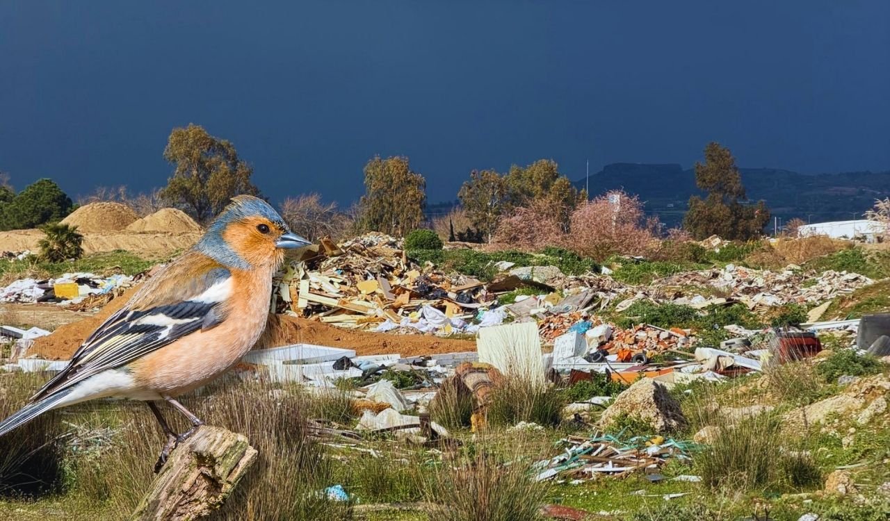 Antalya’nın cenneti cehenneme döndü