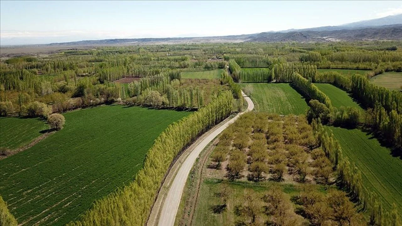 Mustafa Erdem Torba Yasa (3)