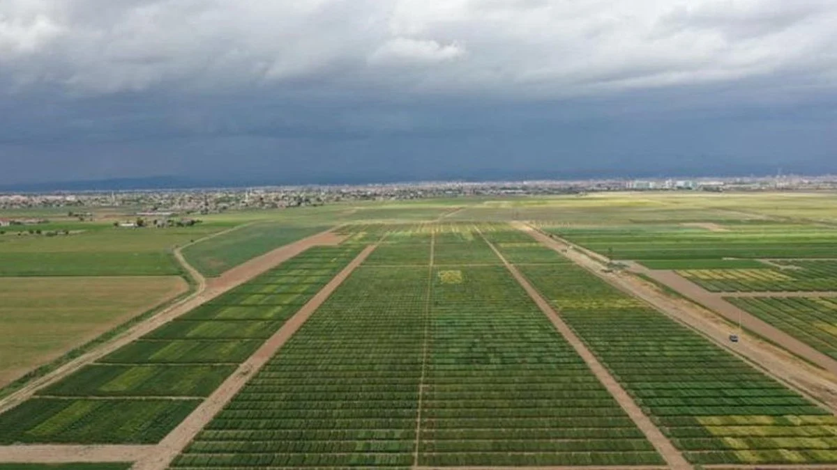 Mustafa Erdem Torba Yasa (4)