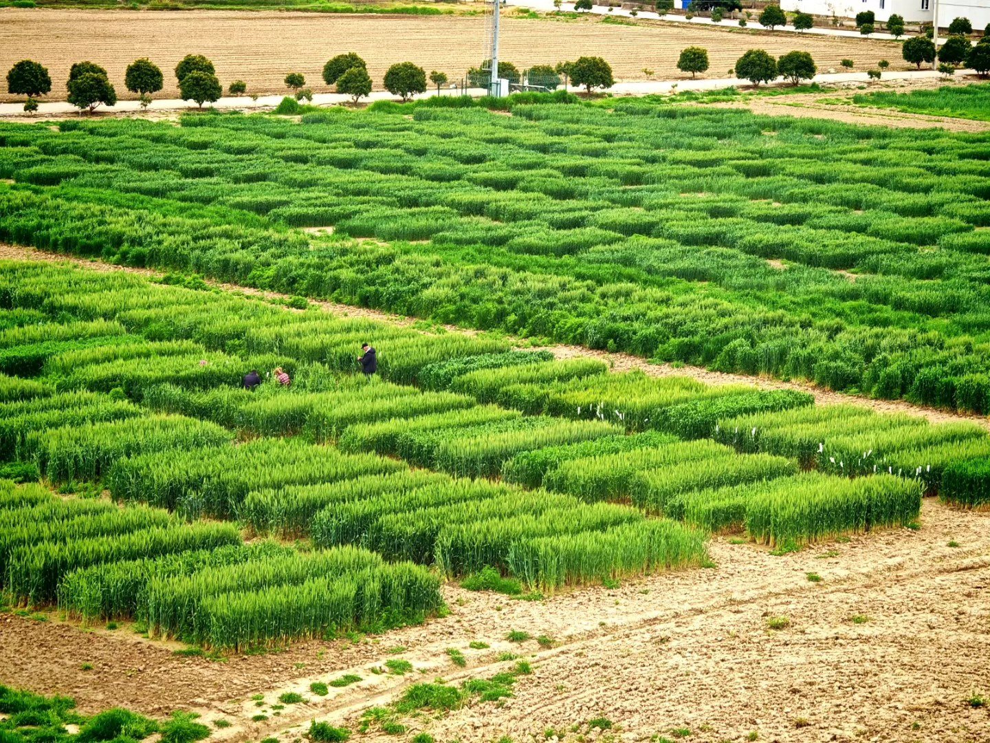 O Sektörde Tablo 30 Yılda Tersine Döndü (1)