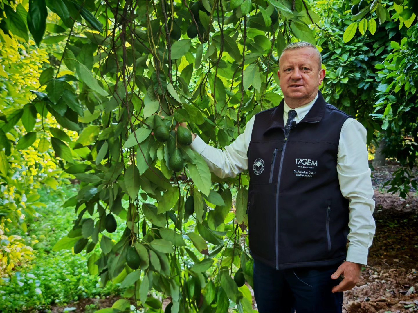 O Sektörde Tablo 30 Yılda Tersine Döndü (4)