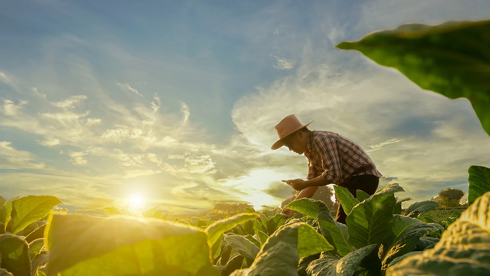 Serafettin Kilictan Doga Ve Rant Cikisi4