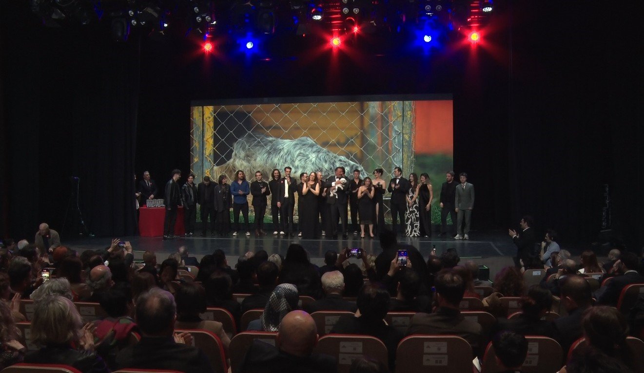 32 sanatçı, sokak hayvanları için tek bir şarkıda buluştu