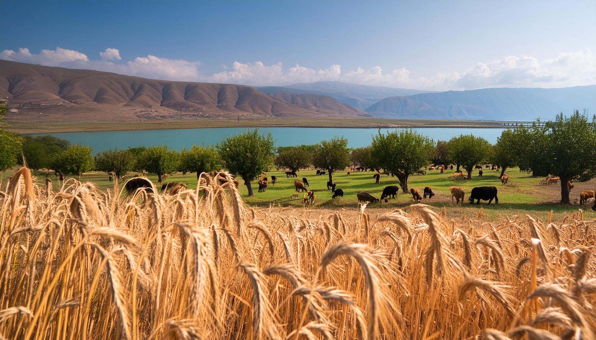 Tarım Arazilerinde Korunmasında Yeni Yönetmelik Devreye Girdi (3)