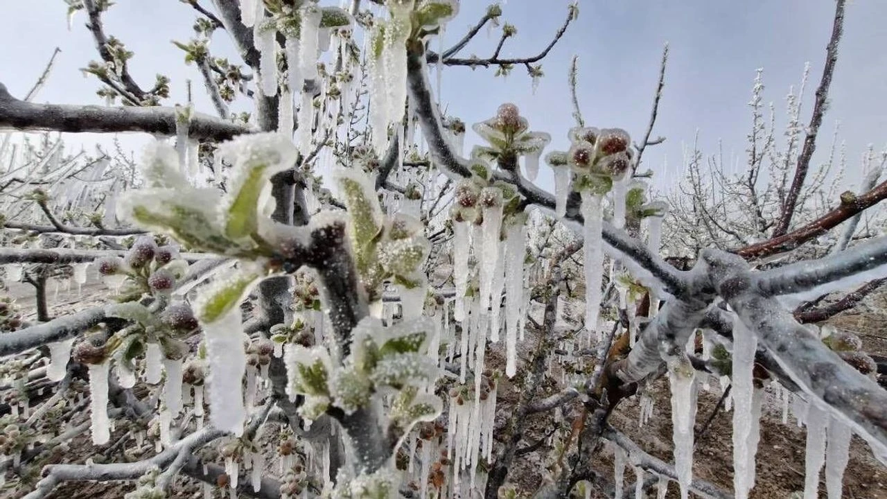 Tarim Ve Orman Bakanligi Don Uyarisi (1)