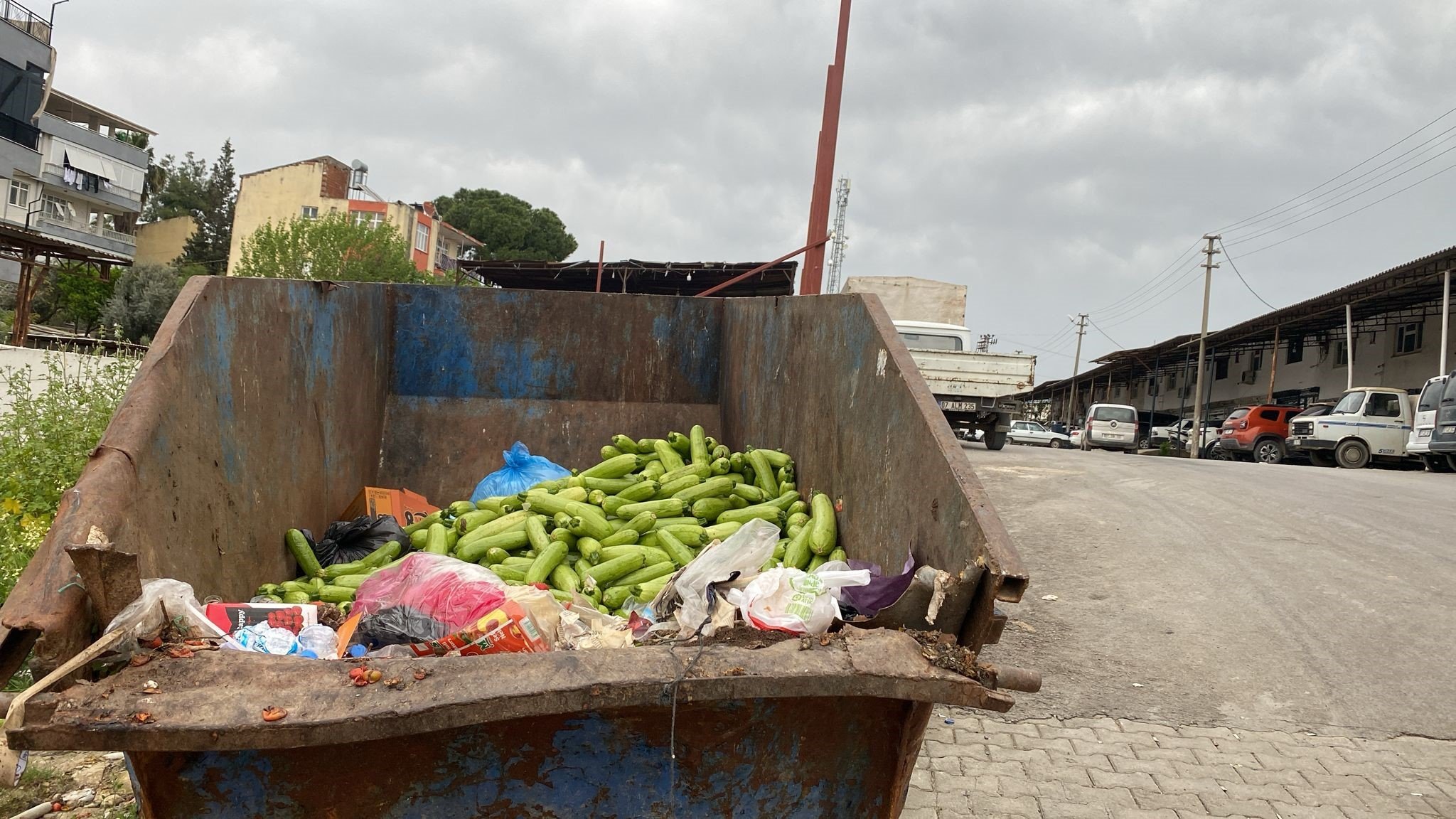 Toptancı Halinde Çöpe Atılan Sebzelere Tepki (3)