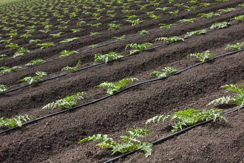 Türkiye Için Kritik Uyarı; “Acil Yeni Sisteme Geçilmeli” (2)
