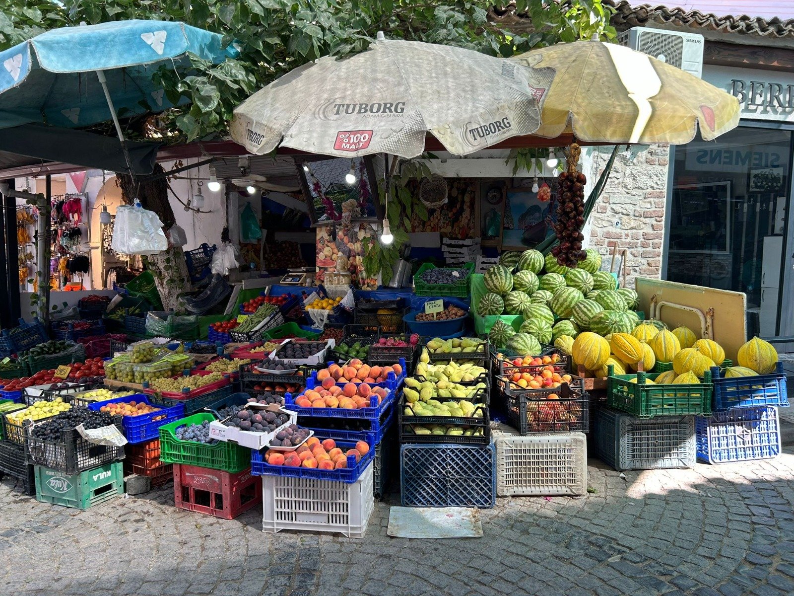 Üreticinin Ve Tüketicinin Sorununa Antalya’dan Reçete (4)