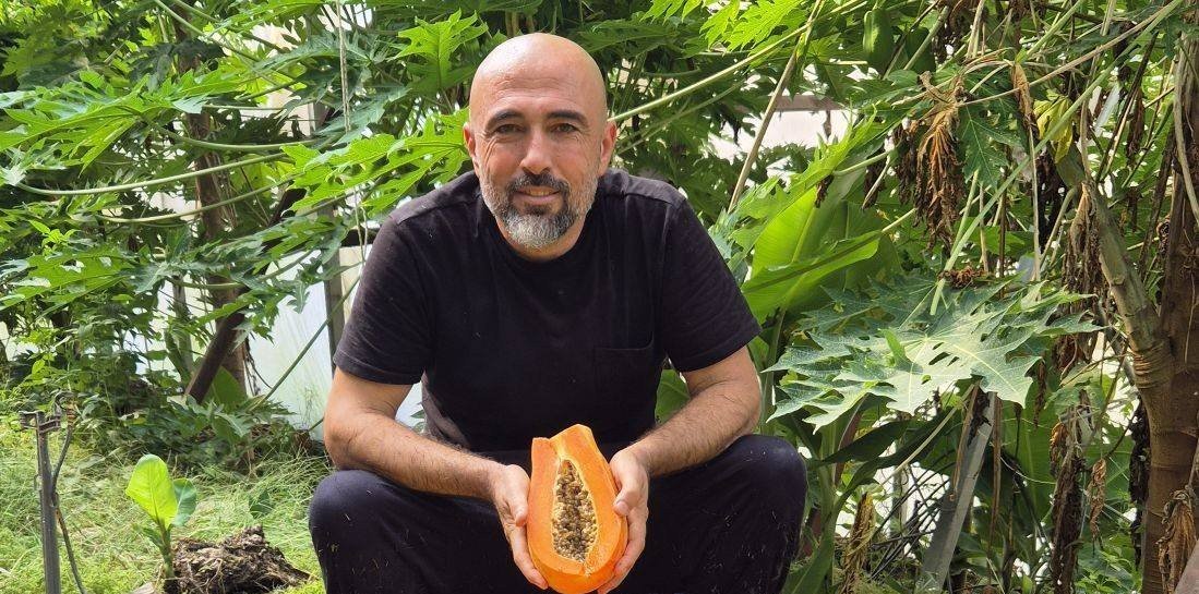 Uzmanından Altın Niteliğinde Tavsiyeler! Avokado Yetiştiriciliği Ek Iş Olarak Yapılamaz (1)