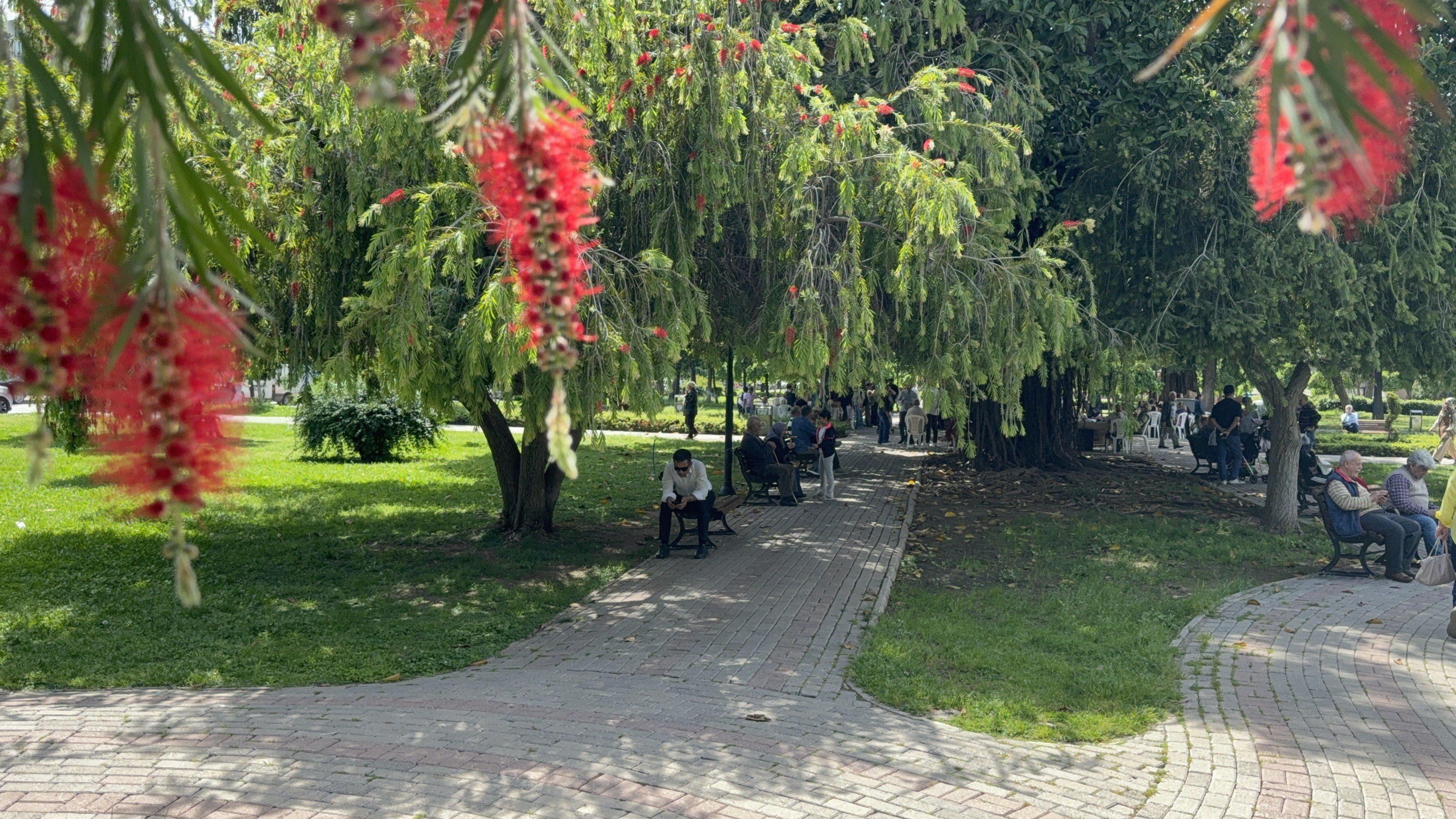 Yaz Gelmeden Adana’da Termometreler 41 Dereceyi Gördü (1)