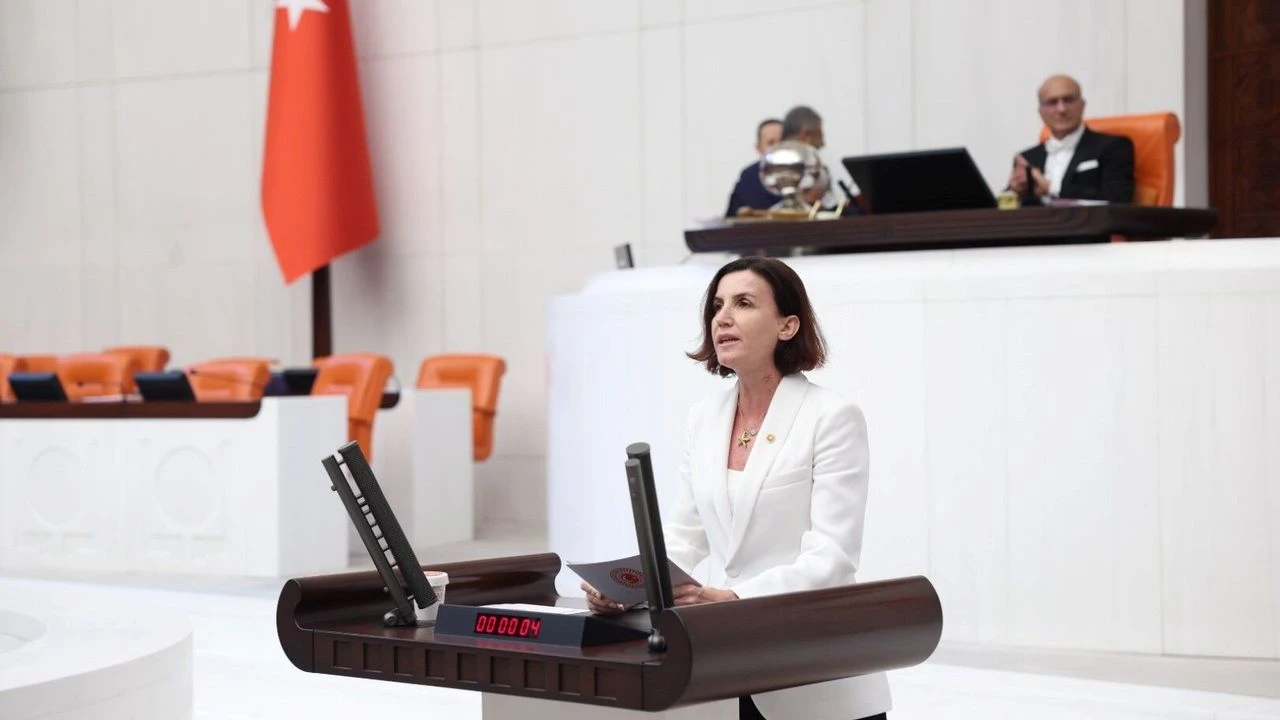 Aliye Cosar Bu Kokusmus Curumus Duzeni (1)-1