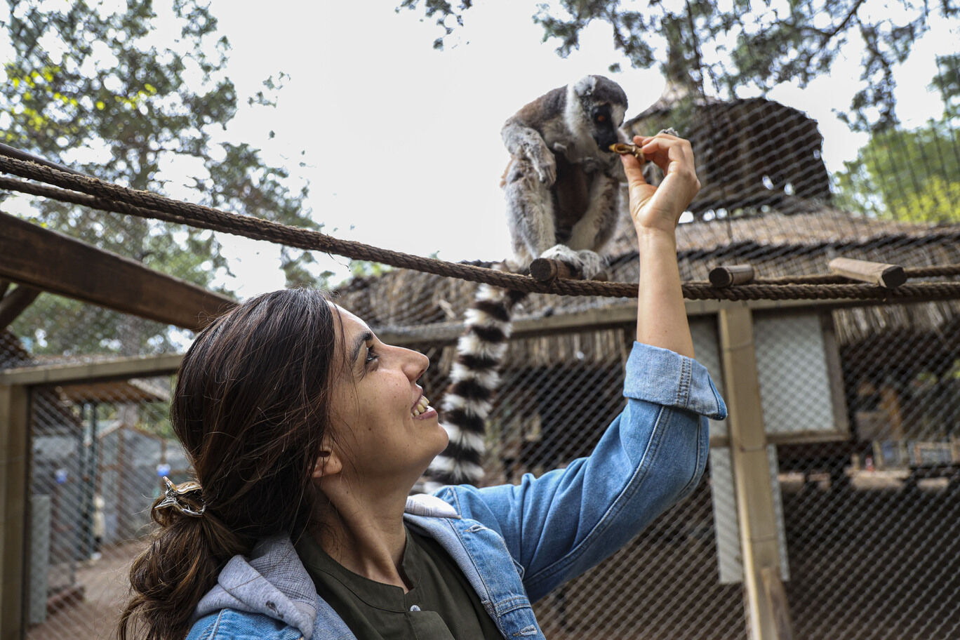 Antalya Doğal Yaşam Parkı’nda Yavru Lemur Sevinci (5)