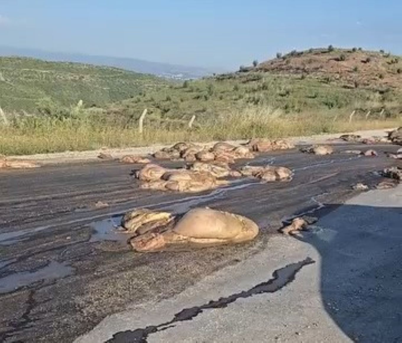 Antalya’da Bayram Sonrası Çevre Skandalı… Manavgat’ta ‘Pes’ Dedirten Görüntü (2)