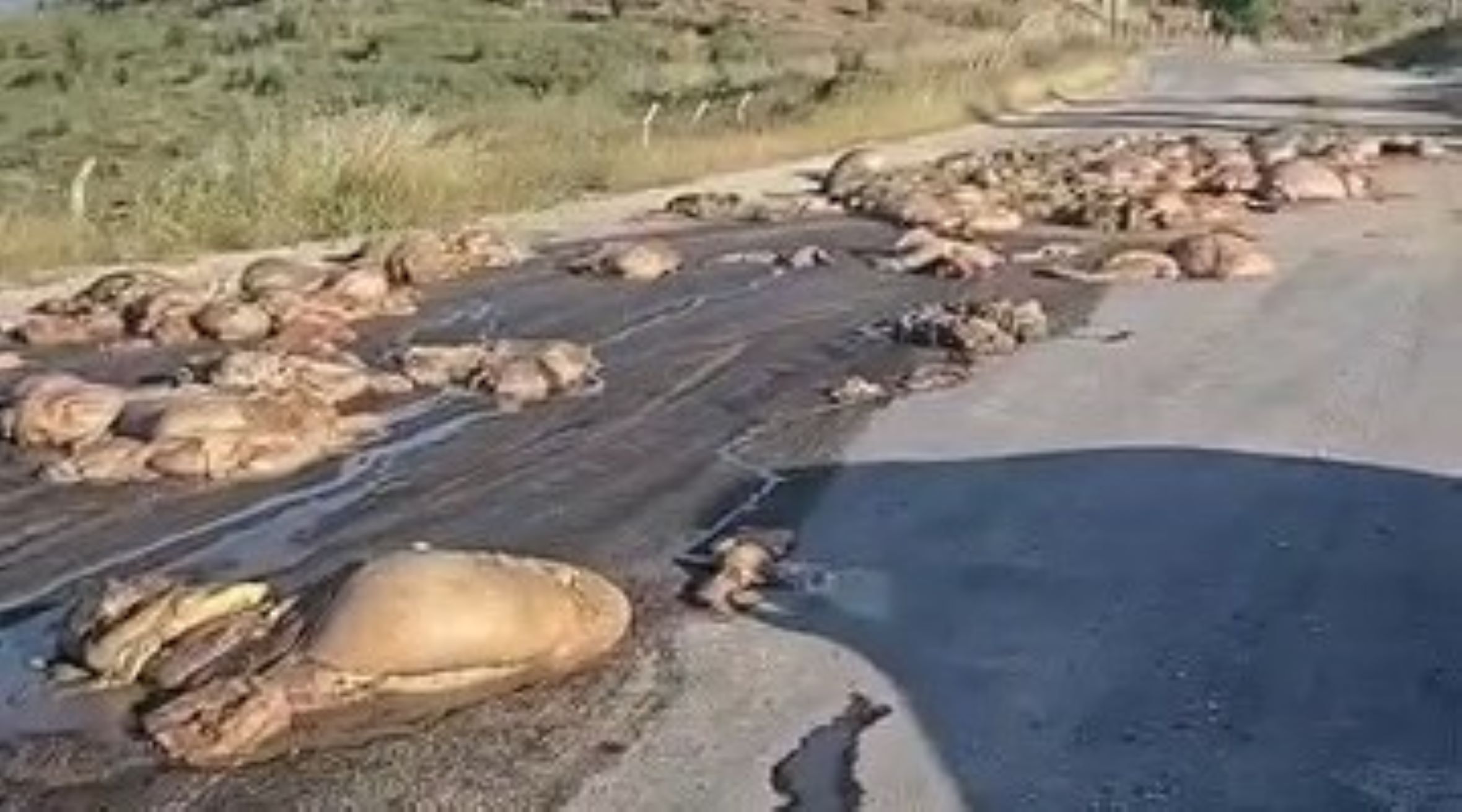 Antalya’da Bayram Sonrası Çevre Skandalı… Manavgat’ta ‘Pes’ Dedirten Görüntü (4)
