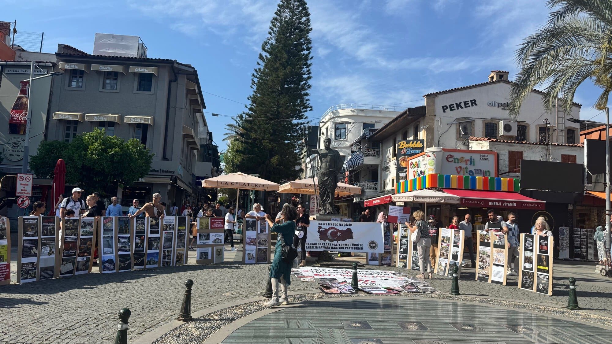 Antalya'da Hayvanlar Için Ayağa Kalktı