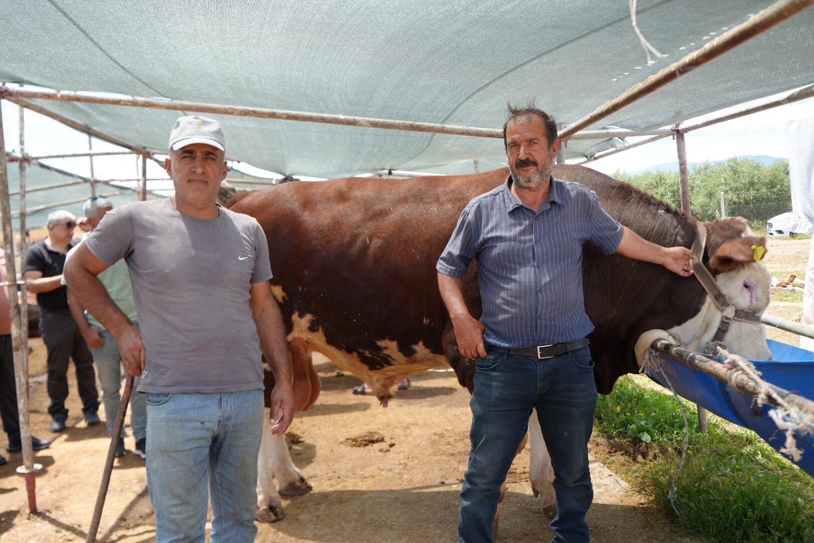 Antalya'da Kurban Pazarında Son Kozlar Oynandı (1)