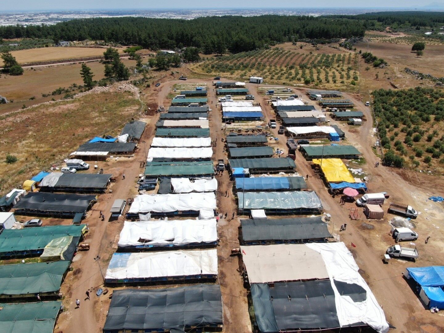 Antalya'da Kurban Pazarında Son Kozlar Oynandı (5)