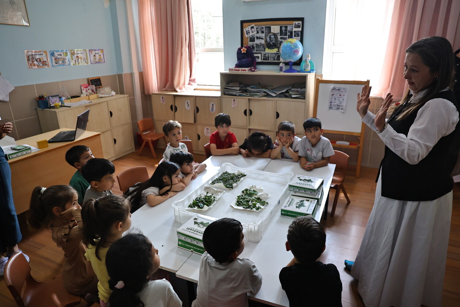Antalyada Minikler Ipekbocegi Ile Tanisti (1)