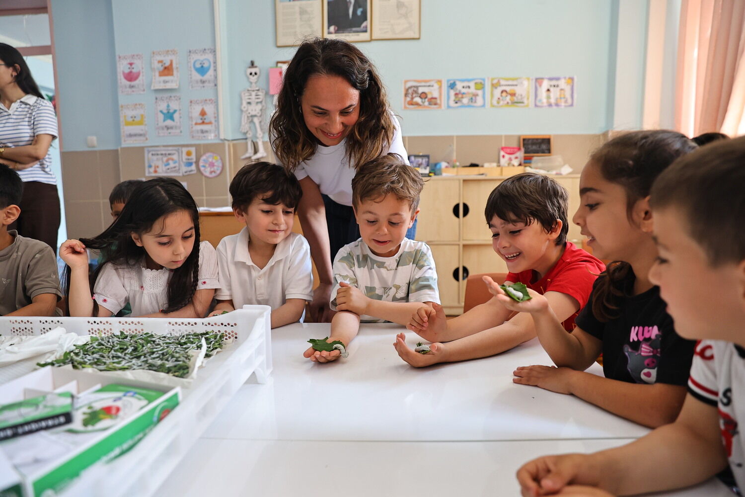 Antalyada Minikler Ipekbocegi Ile Tanisti (5)