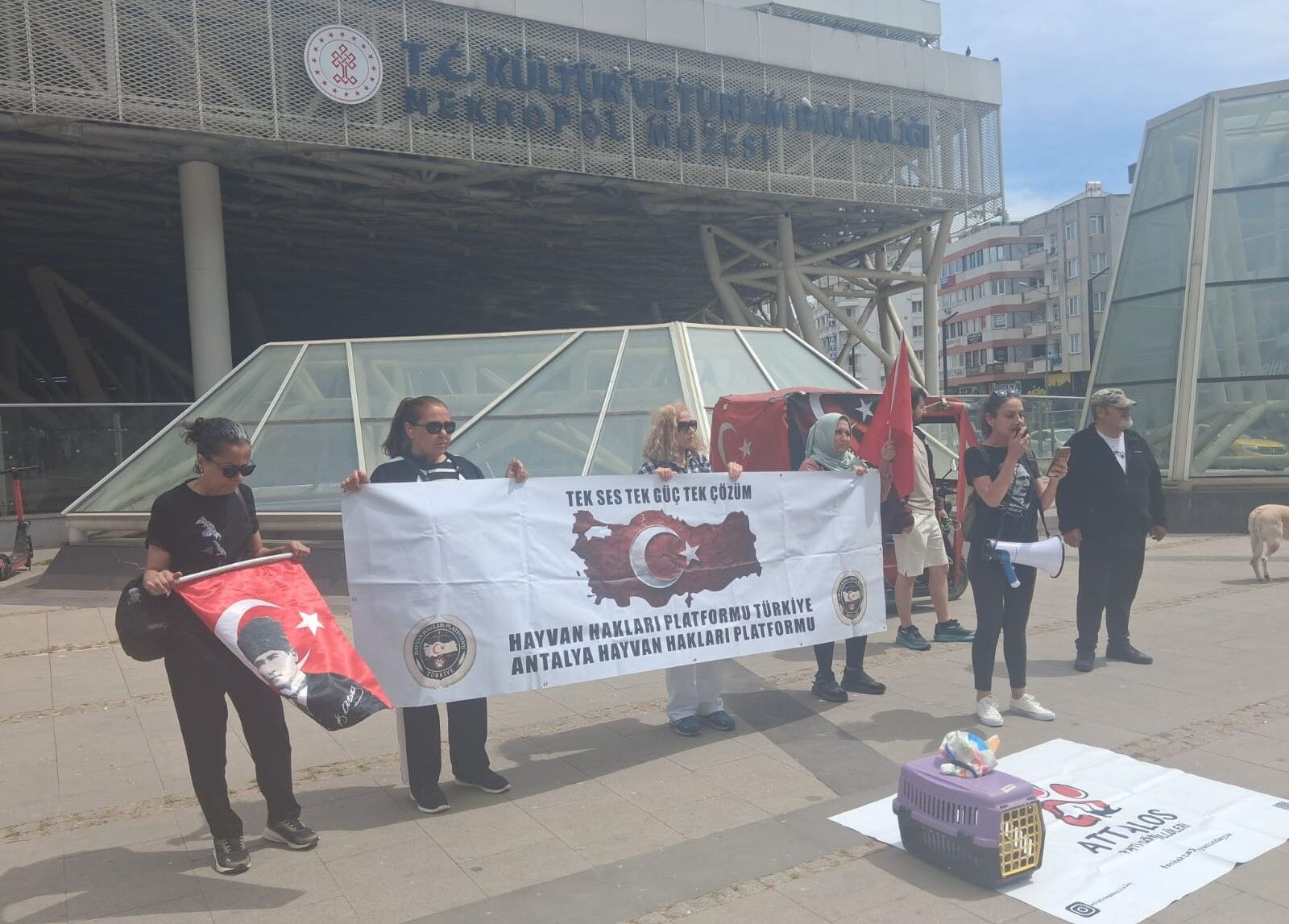 Antalya’daki Hayvan Tuzağı Hayvanseverleri Ayağa Kaldırdı (2)