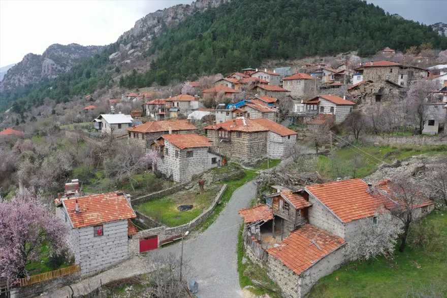 Antalya’nın Akseki İlçesi’ndeki Terapi Taşının Gerçeği Ortaya Çıktı (3)-1