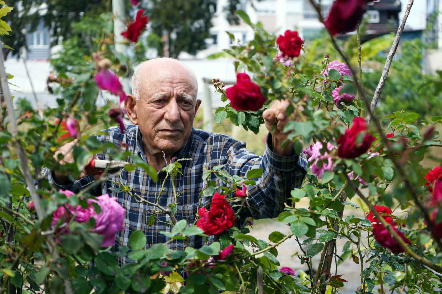 Hıdırellez (6)