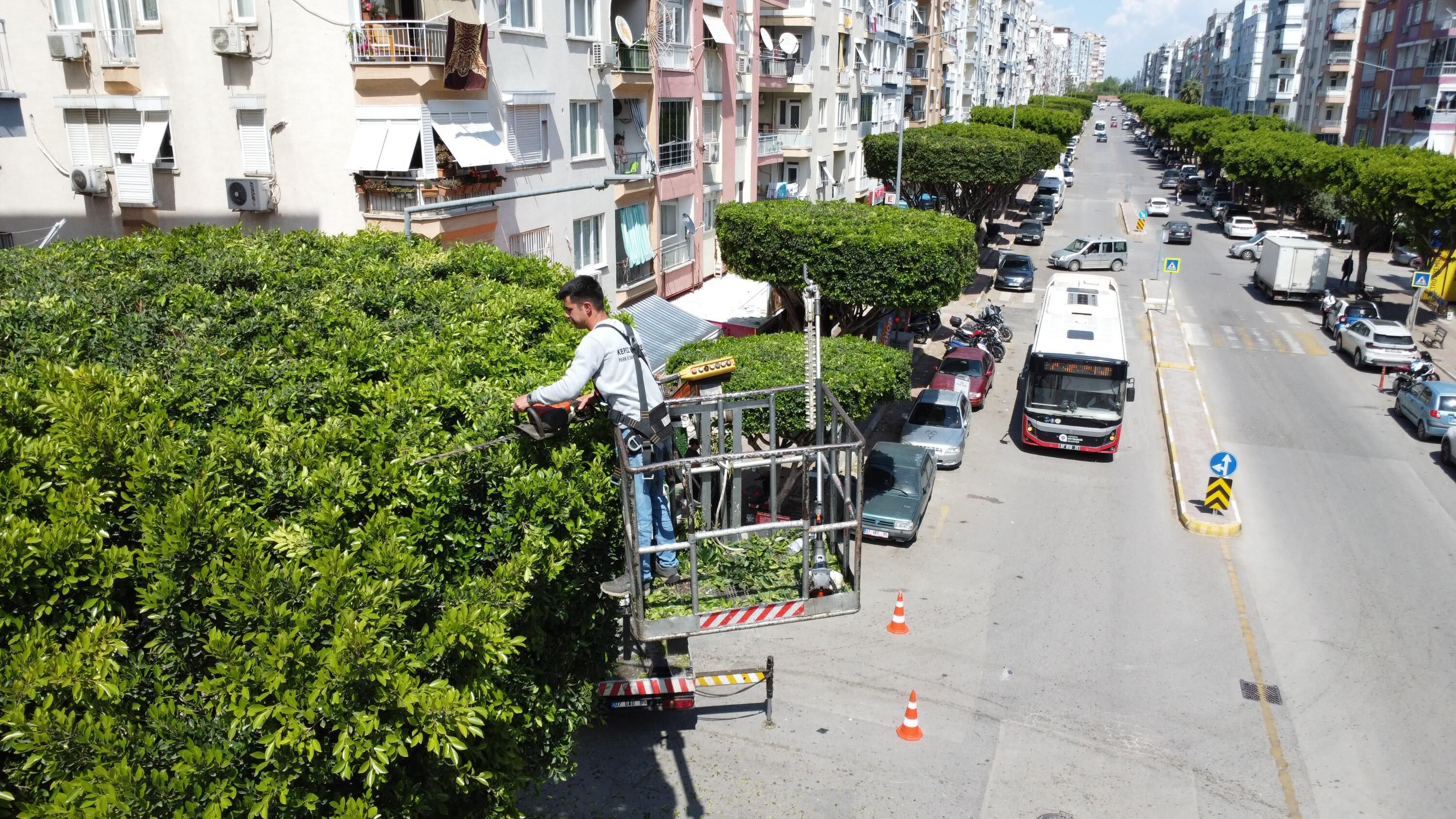 Kepez Belediyesi Yeşil Alanlar Koruma Altına Aldı (2)