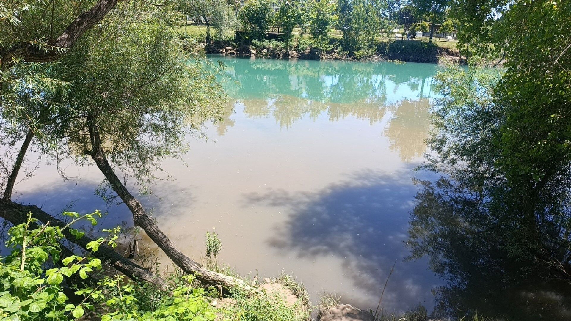 Manavgat Irmağı'nda Endişelendiren Görüntü (4)