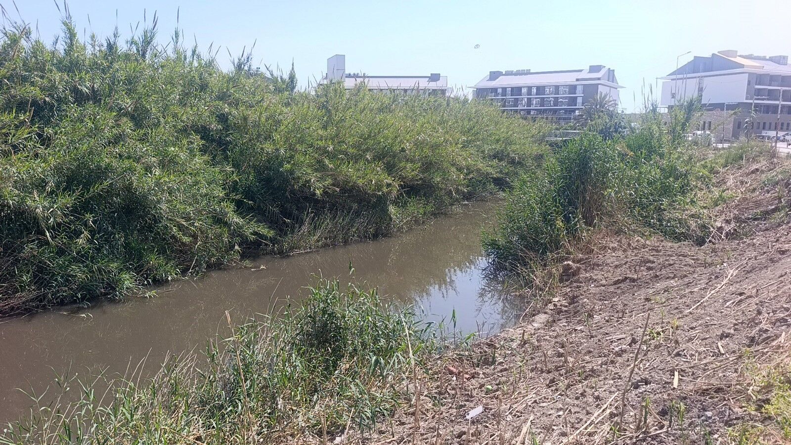 Manavgat’ta Denizi Kahverengiye Büründü (7)