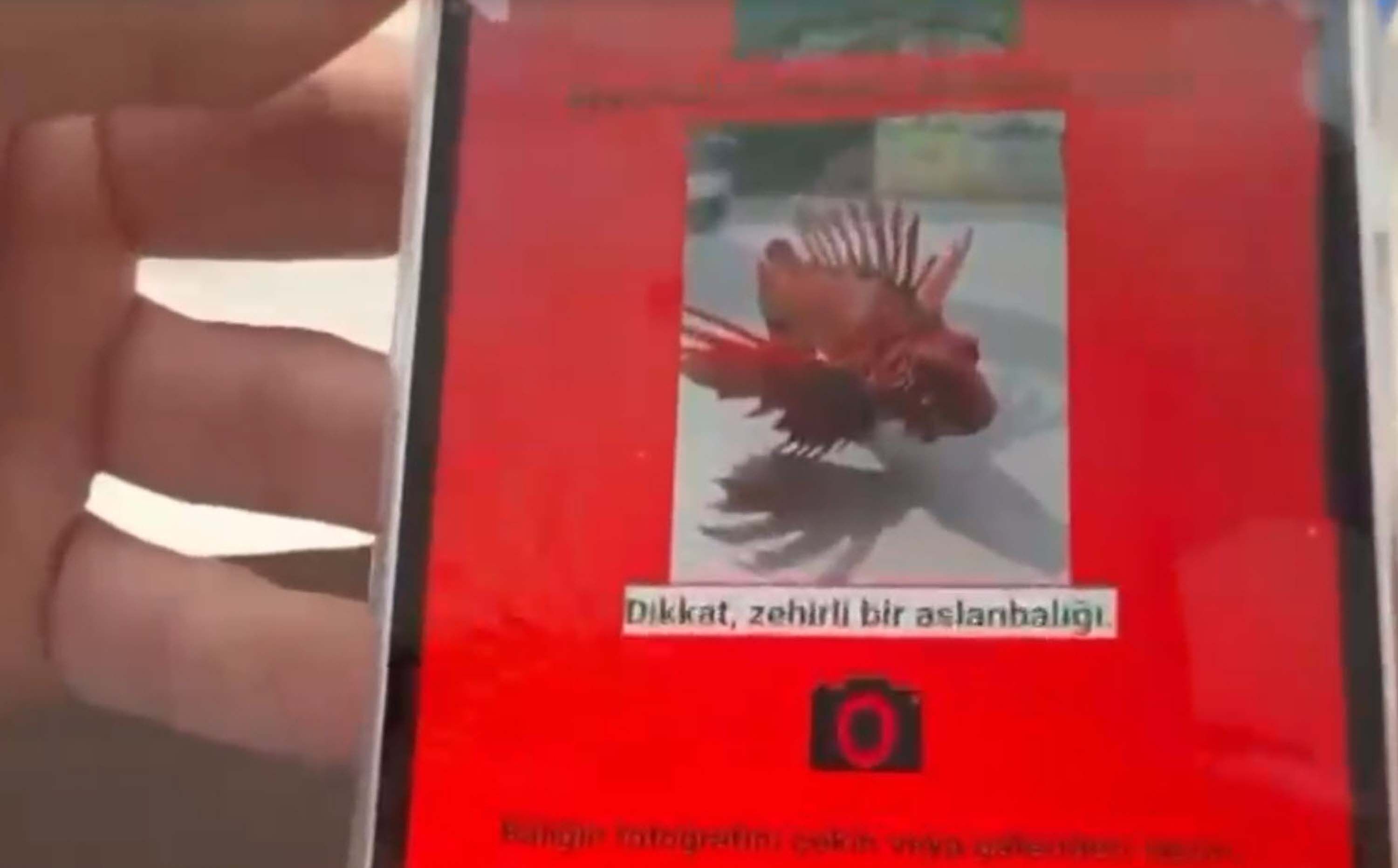 Marmarisli Öğrencilerden Uluslararası Başarı (8)