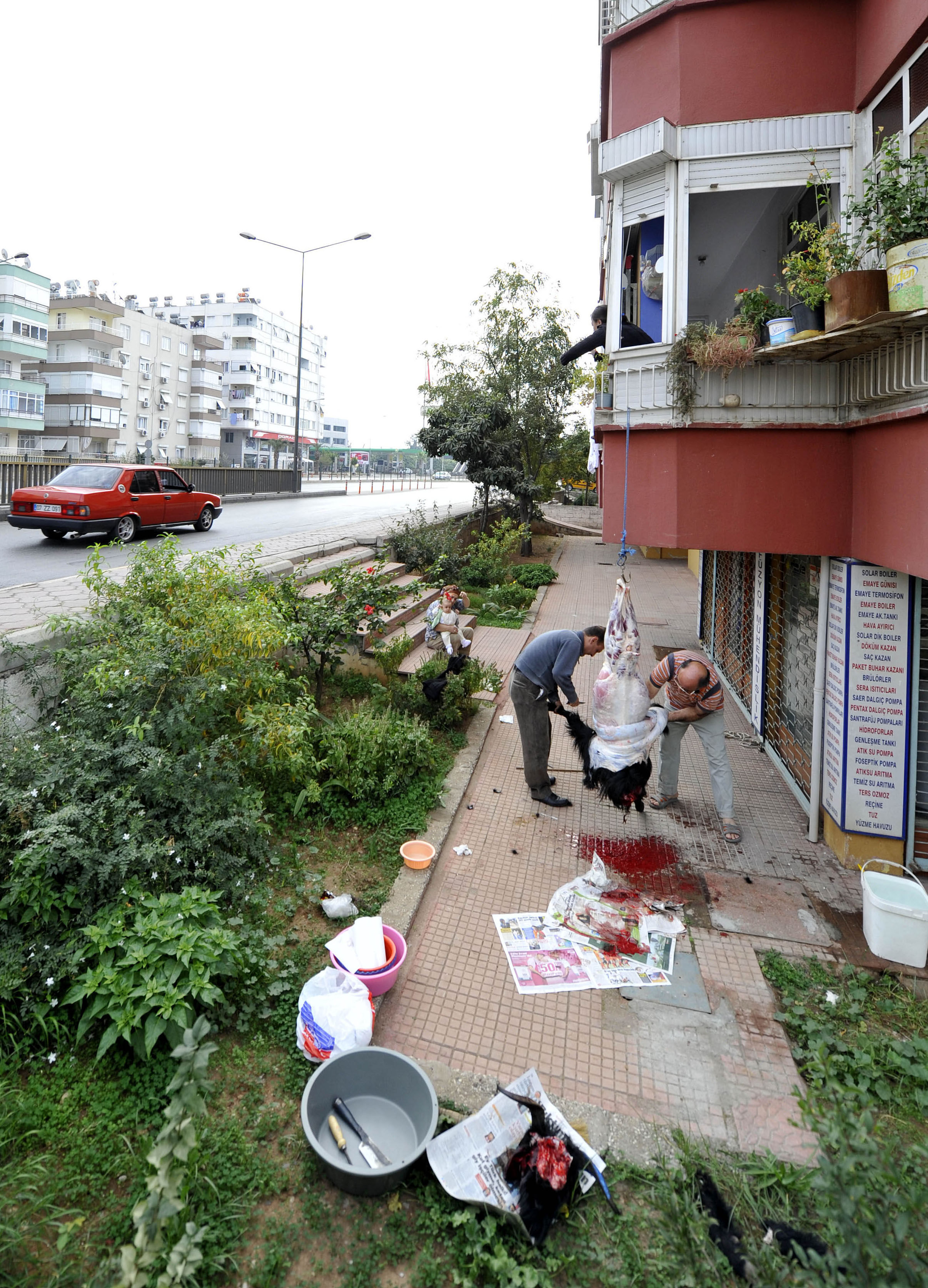 Sokakta Kurban Kesimine Ceza Yağacak (3)