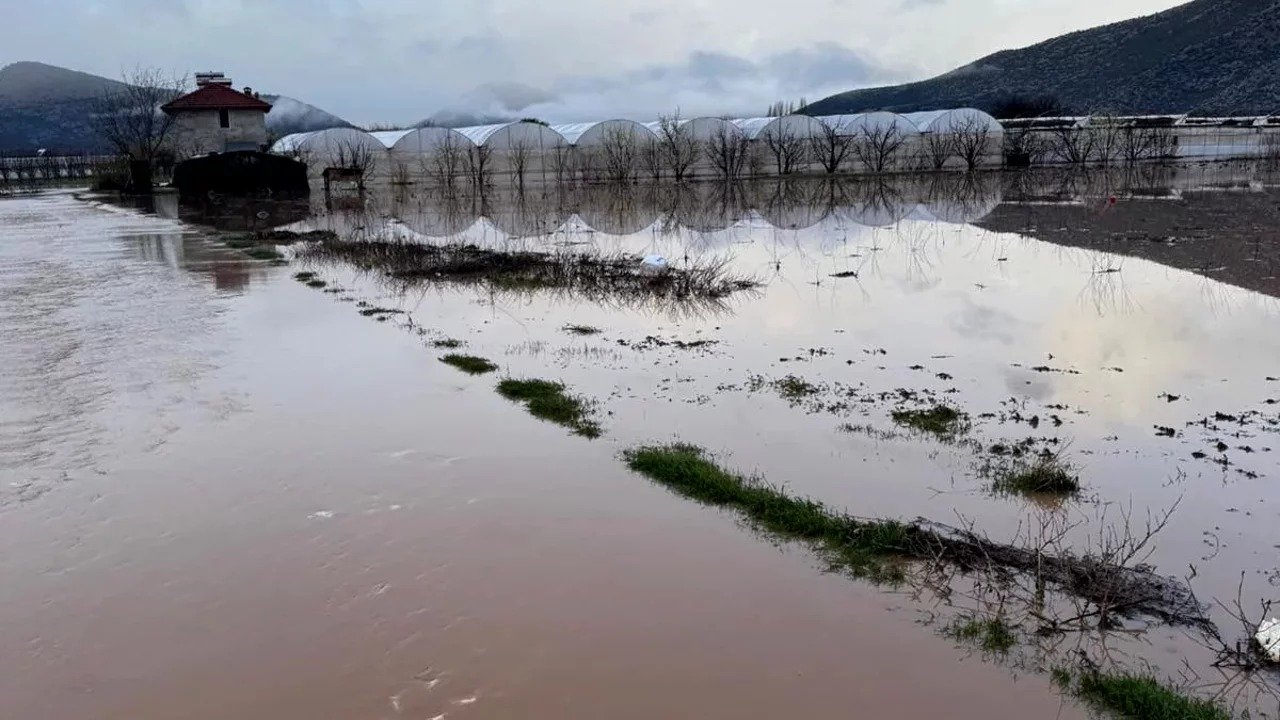 Tarlaları Su Bastı, Antalya’da 5 Bin Ton Hububat Çürüdü (4)