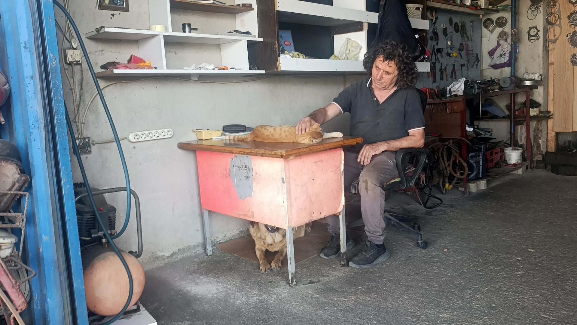 13 Yıldır Çiko’ya Gözü Gibi Bakıyor (1)