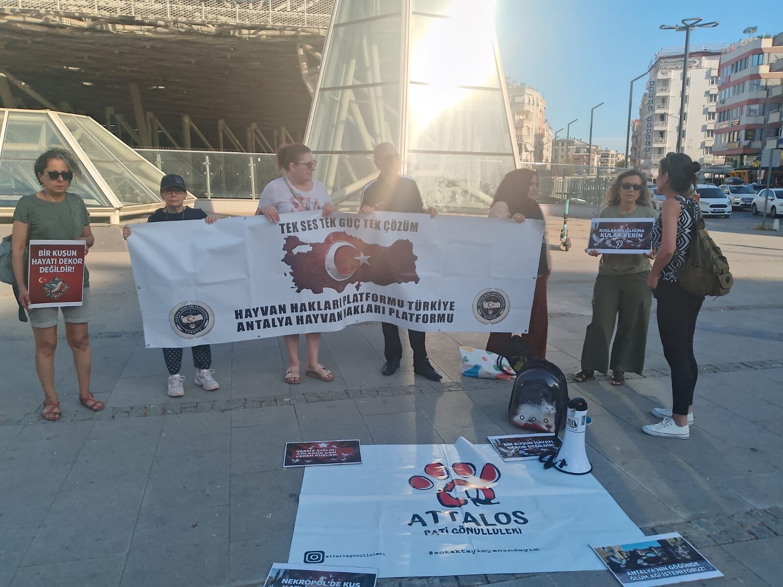 Antalya Nekropol Muzesinde Olum Tuzaklarına Karsi 20 Gundur Yasam Nobeti Suruyor (1)
