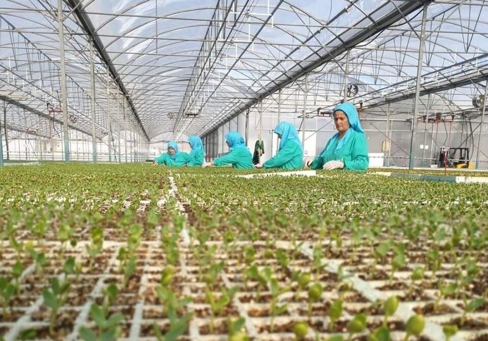 Antalya, Türkiye’nin Üretim Üssü Oldu (5)