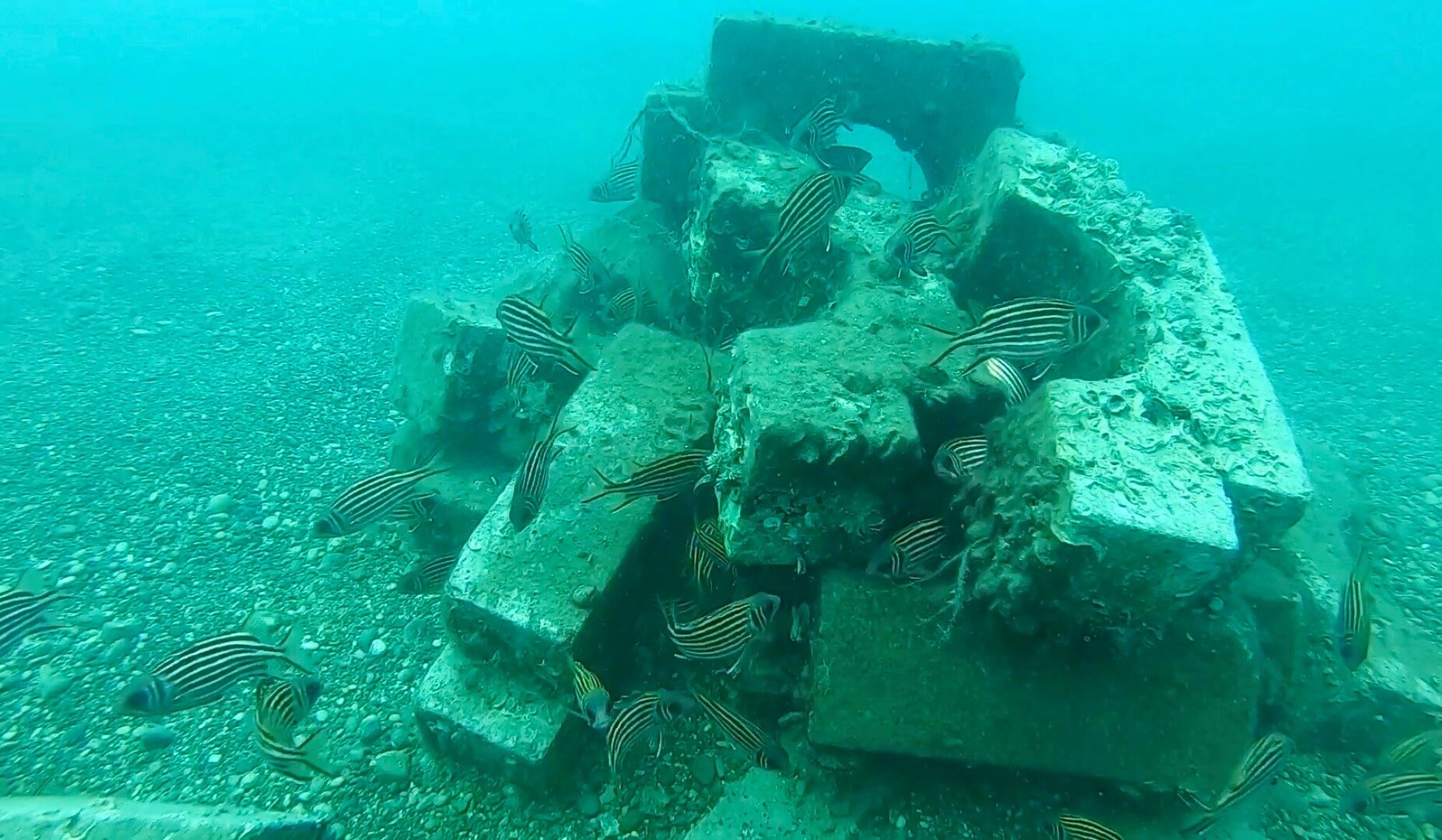 Antalya’da Denize Düşen Betonlar Denizin Kaderini Değiştirdi (2)