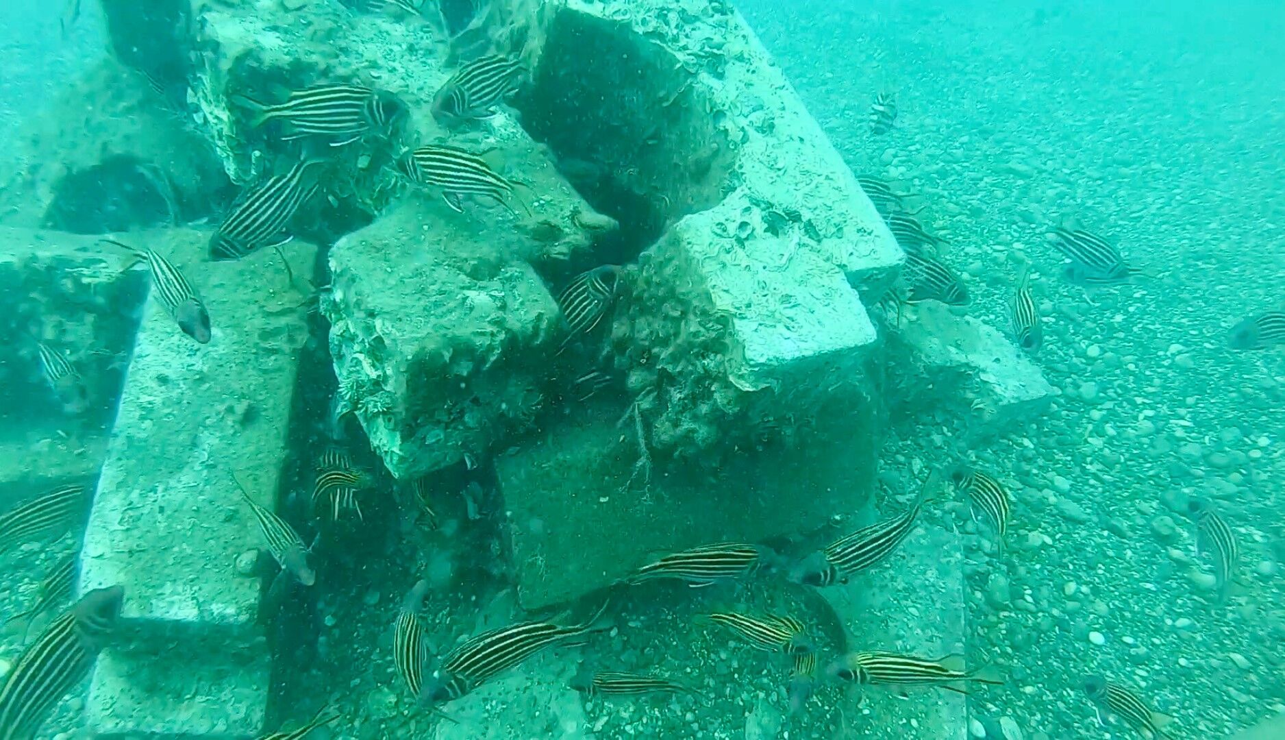 Antalya’da Denize Düşen Betonlar Denizin Kaderini Değiştirdi (5)