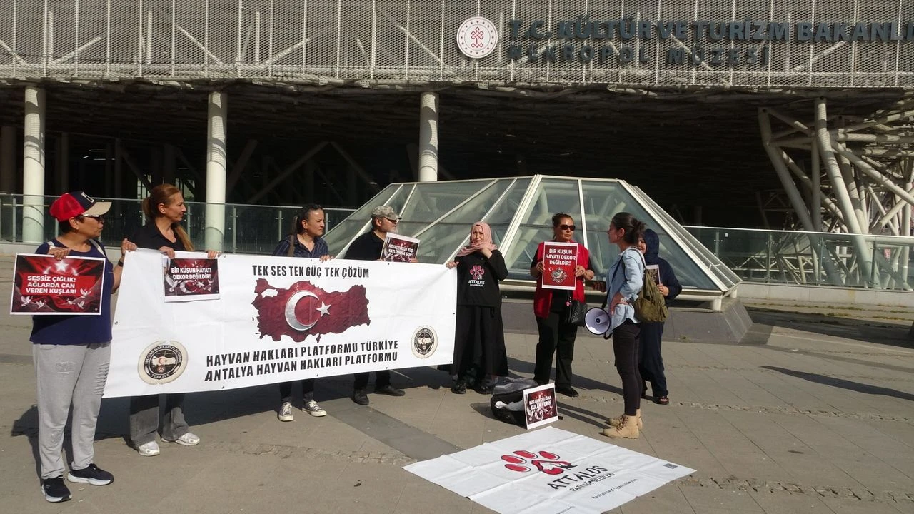 Antalya’da Hayvan Hakları Mücadelesinde Ulusal Onur Ödülü (2)