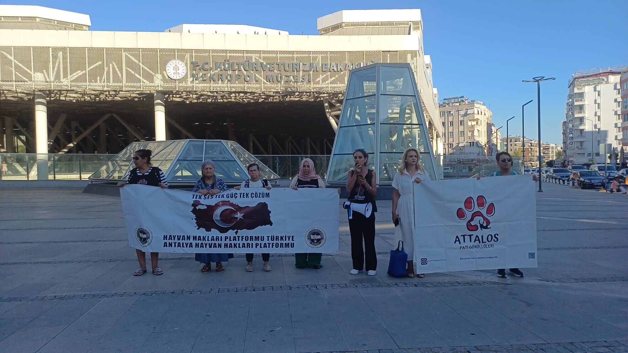 Antalyada Hayvanseverler 41 Gundur Kuslar Icin Feryat Ediyor (1)-1
