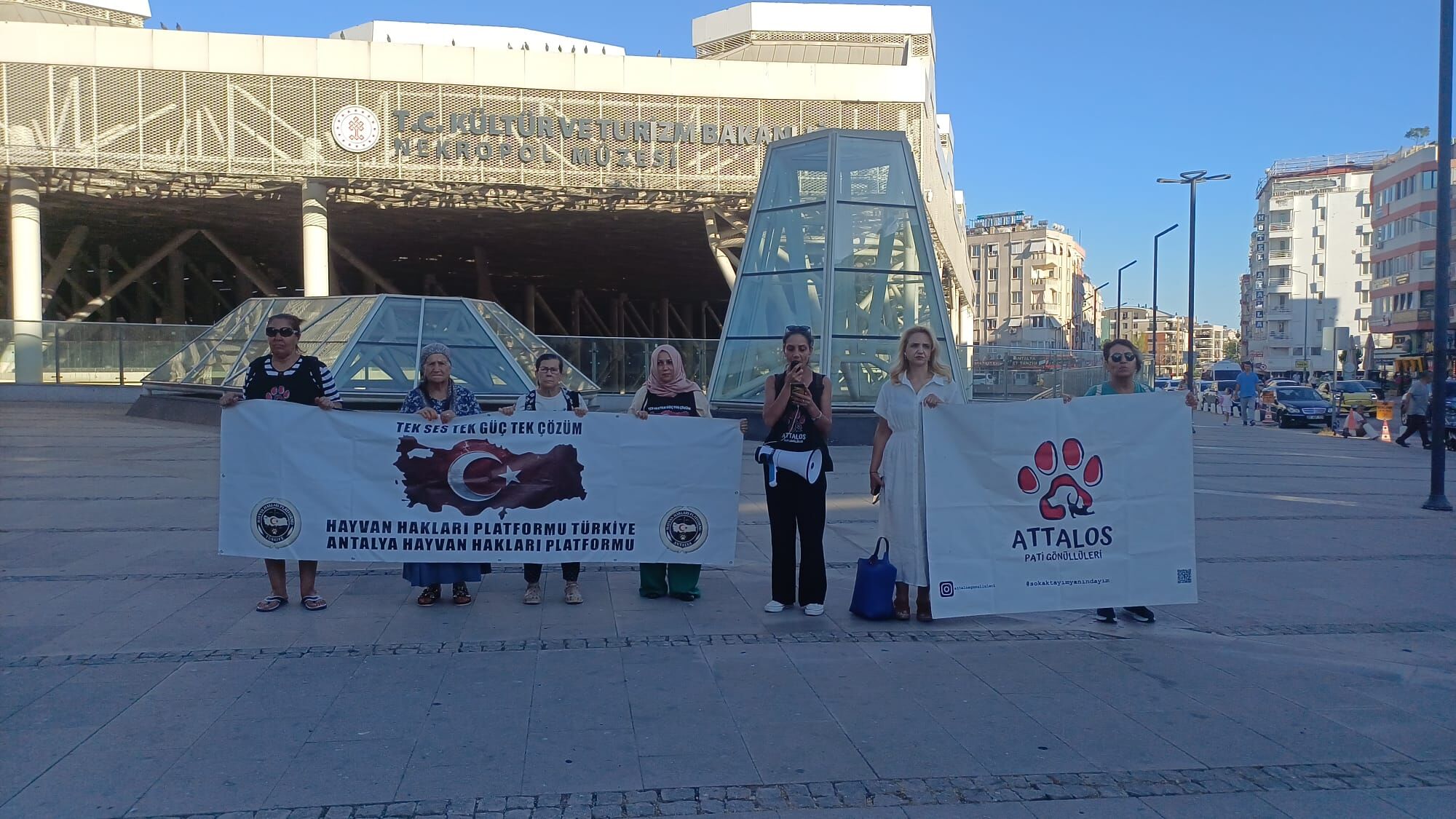 Antalyada Hayvanseverler 41 Gundur Kuslar Icin Feryat Ediyor (2)